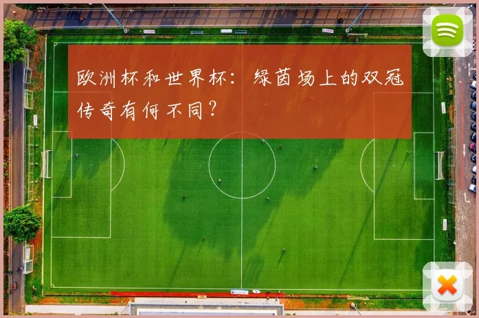 欧洲杯和世界杯:绿茵场上的双冠传奇有何不同?