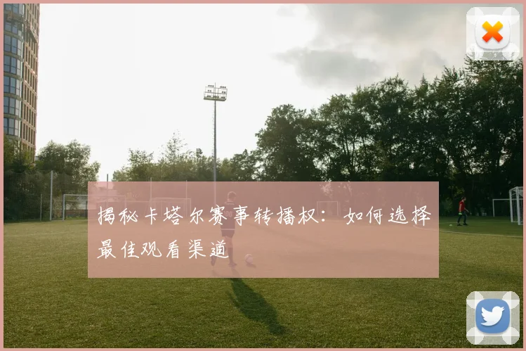 揭秘卡塔尔赛事转播权：如何选择最佳观看渠道