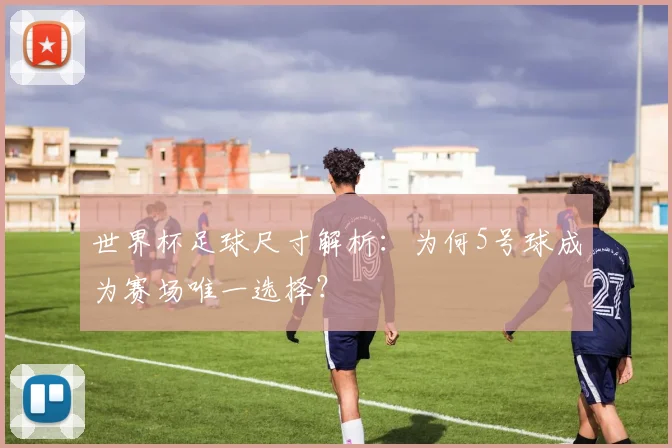 世界杯足球尺寸解析：为何5号球成为赛场唯一选择？
