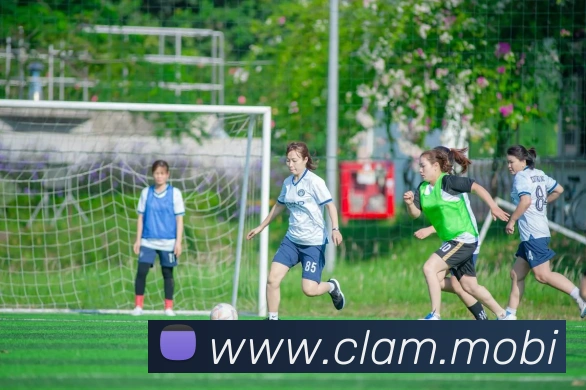 多媒体互动体验