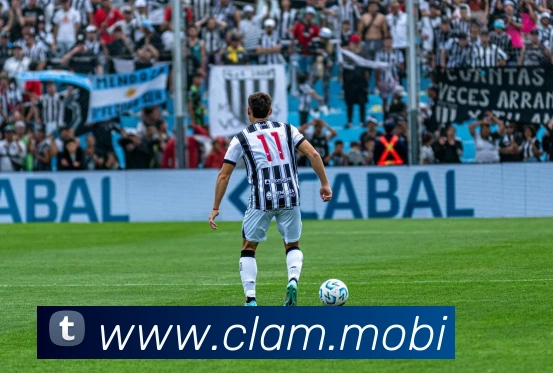 开云在线官方网站APP 体育赛事宣传图